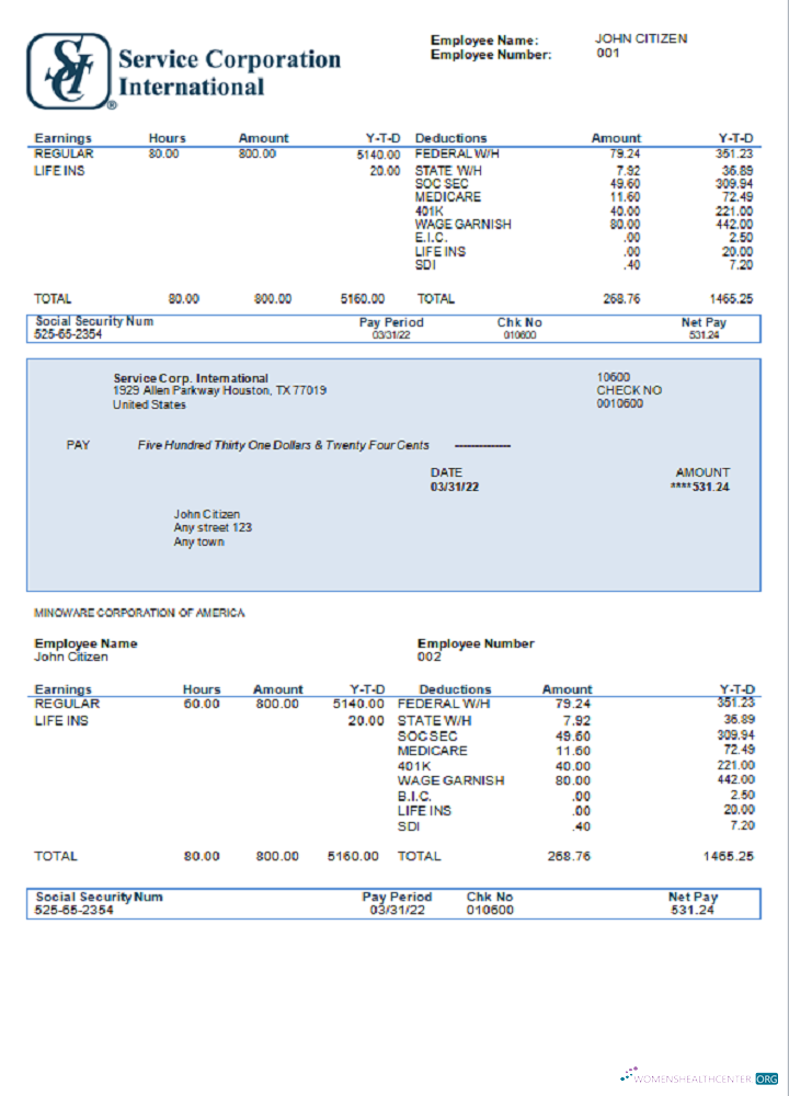 Download USA Service Corp. International consumer discretionary company pay stub Photoshop template
